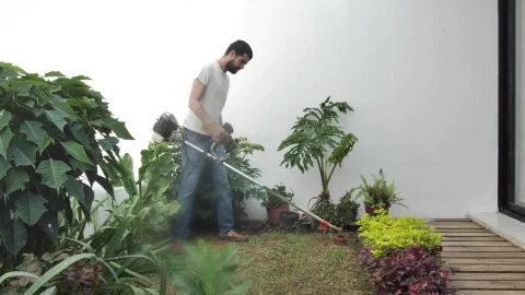 Stock Video Man Mowing The Lawn With A Mowe Animated Wallpaper - Free Live Wallpaper