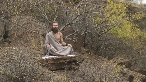 Stock Video Man Meditating Deeply In An Autumnal Fores Animated Wallpaper - Free Live Wallpaper