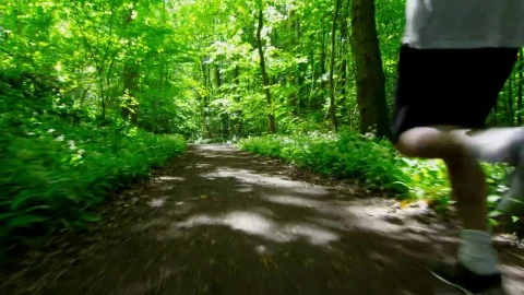 Stock Video Man Jogging Through Woodland Tracking Sho Animated Wallpaper - Free Live Wallpaper