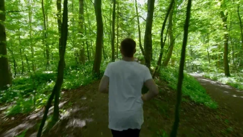 Stock Video Man Jogging Through The Tree Animated Wallpaper - Free Live Wallpaper