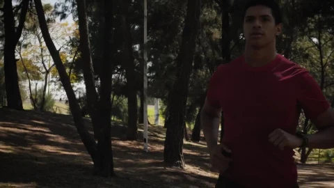 Stock Video Man Jogging On Trail In The Par Animated Wallpaper - Free Live Wallpaper