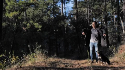 Stock Video Man In The Woods With His Do Animated Wallpaper - Free Live Wallpaper