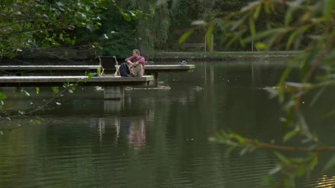 Stock Video Man In The Lake Dock Walks Awa Animated Wallpaper - Free Live Wallpaper