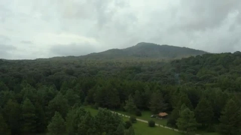 Stock Video Mountain Covered By A Large Forest Seen From Above Live Wallpaper - Free Live Wallpaper