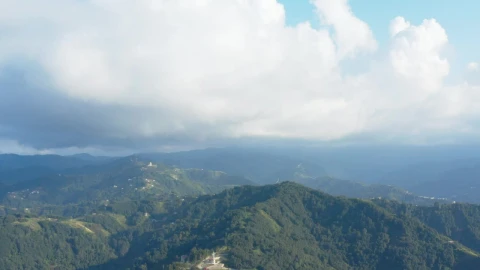 Stock Video Mountain Covered In Trees Live Wallpaper - Free Live Wallpaper