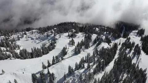Stock Video Mountain For Skiing Seen From The Air Live Wallpaper - Free Live Wallpaper