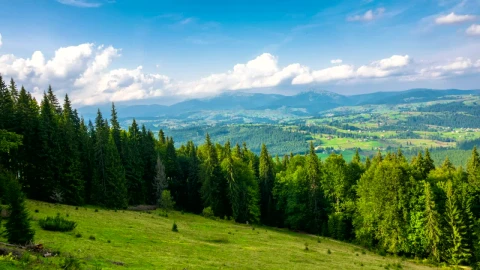 Stock Video Mountain Landscape With Forest And A Valley Live Wallpaper - Free Live Wallpaper
