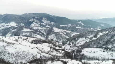 Stock Video Mountain Relief Covered With Snow And Pine Trees Live Wallpaper - Free Live Wallpaper