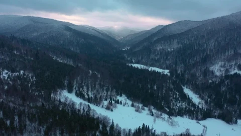 Stock Video Mountainous Forest Full Of Snow Aerial View Live Wallpaper - Free Live Wallpaper
