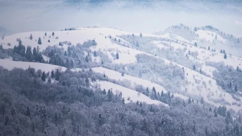 Stock Video Mountainous Forest In Winter Seen From Afar Live Wallpaper - Free Live Wallpaper