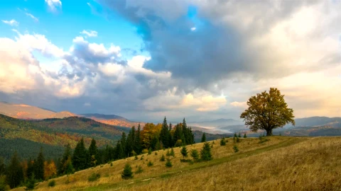 Stock Video Mountains And Forest On A Cloudy Day Live Wallpaper - Free Live Wallpaper