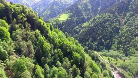 Stock Video Mountains And Green Forest Live Wallpaper - Free Live Wallpaper