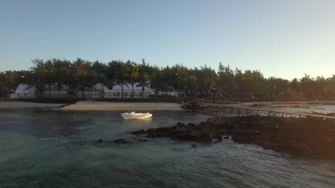 Stock Video Mouses Along Mauritius Island Live Wallpaper - Free Live Wallpaper