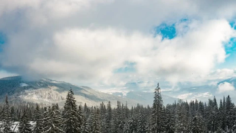 Stock Video Moving Clouds Over A Snowy Wooded Landscape Live Wallpaper - Free Live Wallpaper