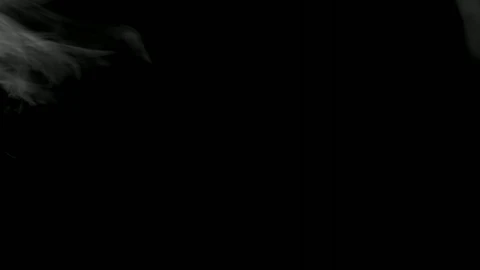 Stock Video Moving Smoke On A Black Background Live Wallpaper - Free Live Wallpaper