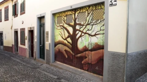 Stock Video Mural Art On The Facade Of A House Live Wallpaper - Free Live Wallpaper