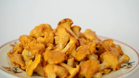Stock Video Mushrooms On A Plate Live Wallpaper - Free Live Wallpaper