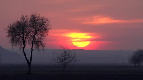 Stock Video Mystic Red Sunset In The Countryside Live Wallpaper - Free Live Wallpaper