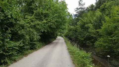 Stock Video Narrow Path By A Stream In The Middle Of A Live Wallpaper - Free Live Wallpaper