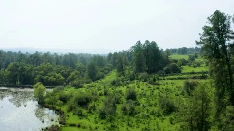 Stock Video Natural Landscape In An Aerial View Around A Forest Live Wallpaper - Free Live Wallpaper