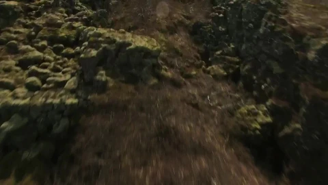 Stock Video Natural Landscape Live Wallpaper - Free Live Wallpaper