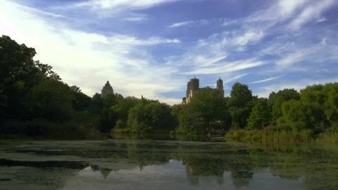 Stock Video Natural Pond On A Clear Day Live Wallpaper - Free Live Wallpaper
