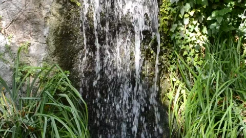 Stock Video Natural Spring Waterfall Live Wallpaper - Free Live Wallpaper
