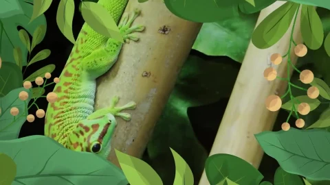 Stock Video Nature Intro Transition Live Wallpaper - Free Live Wallpaper