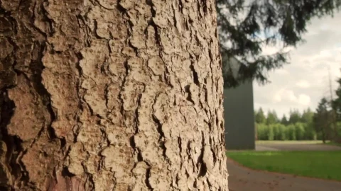 Stock Video Nature Property With A Large Cellar LargeLive Wallpaper - Free Live Wallpaper