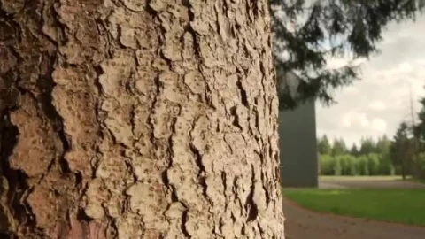 Stock Video Nature Property With A Large Cellar Live Wallpaper - Free Live Wallpaper