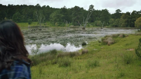 Stock Video Nature Walk As A Couple Live Wallpaper - Free Live Wallpaper