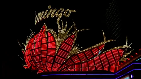 Stock Video Neon Flashing Lights Sign Live Wallpaper - Free Live Wallpaper