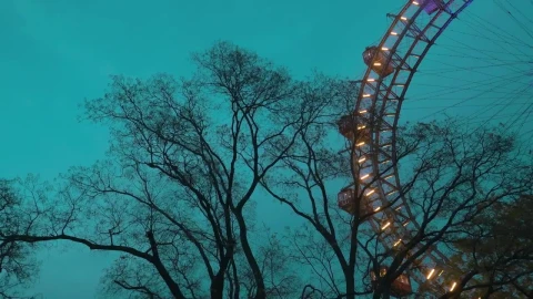 Stock Video Neon Lights On A Park Ride Live Wallpaper - Free Live Wallpaper