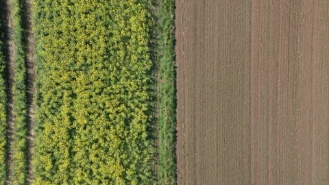 Stock Video Newly Ploughed Field Live Wallpaper - Free Live Wallpaper
