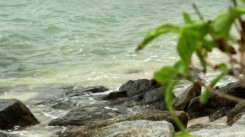 Stock Video Ocean Waters Breaking On Rocks Live Wallpaper - Free Live Wallpaper