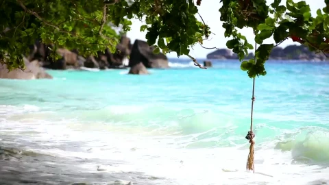 Stock Video Ocean Waves On Tropical Beachwith Rocks Live Wallpaper - Free Live Wallpaper