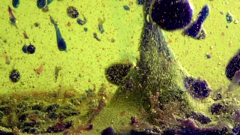 Stock Video Oil And Ink Bubbles Undewater Live Wallpaper - Free Live Wallpaper