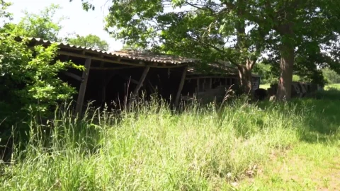 Stock Video Old Abandoned Cabin Destroyed By Time Live Wallpaper - Free Live Wallpaper