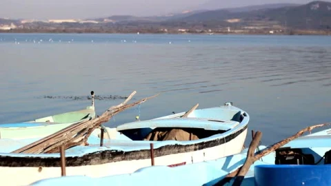 Stock Video Old Boats On The Shore Of A Large Lake Live Wallpaper - Free Live Wallpaper