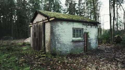 Stock Video Old Brick Shed In A Forest Live Wallpaper - Free Live Wallpaper