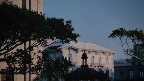 Stock Video Old Building With Trees At Dusk Live Wallpaper - Free Live Wallpaper