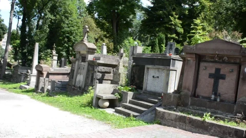 Stock Video Old Cemetery In A Forest Live Wallpaper - Free Live Wallpaper