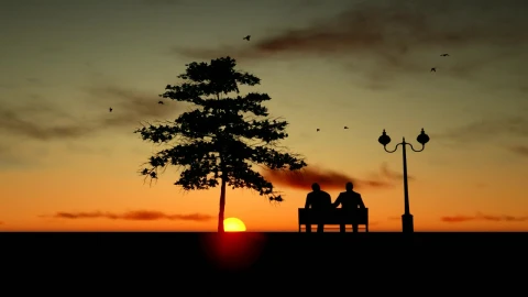 Stock Video Old Friends Watching The Sunset Live Wallpaper - Free Live Wallpaper
