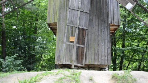 Stock Video Old Mill In A Forest Live Wallpaper - Free Live Wallpaper