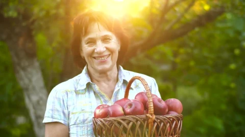 Stock Video Old Rancher Woman Holding A Basket With Apples Live Wallpaper - Free Live Wallpaper