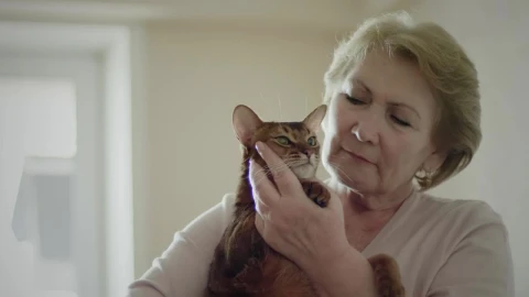 Stock Video Old Woman Hugging Her Cat Live Wallpaper - Free Live Wallpaper