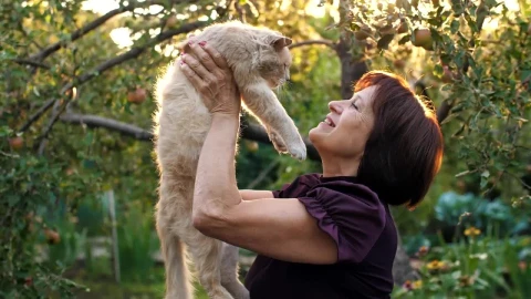 Stock Video Old Woman Loving Her Cat Live Wallpaper - Free Live Wallpaper