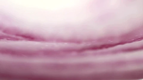 Stock Video Onion Slice Closeup Live Wallpaper - Free Live Wallpaper