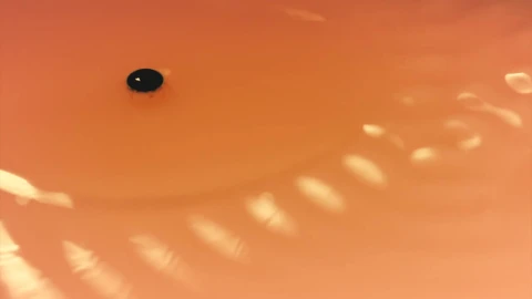 Stock Video Orange Liquid Waving Seen In Detail Live Wallpaper - Free Live Wallpaper