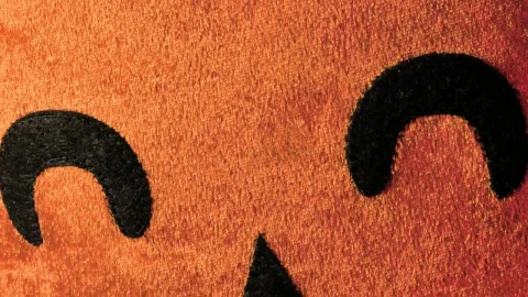 Stock Video Orange Material Pumpkin Live Wallpaper - Free Live Wallpaper